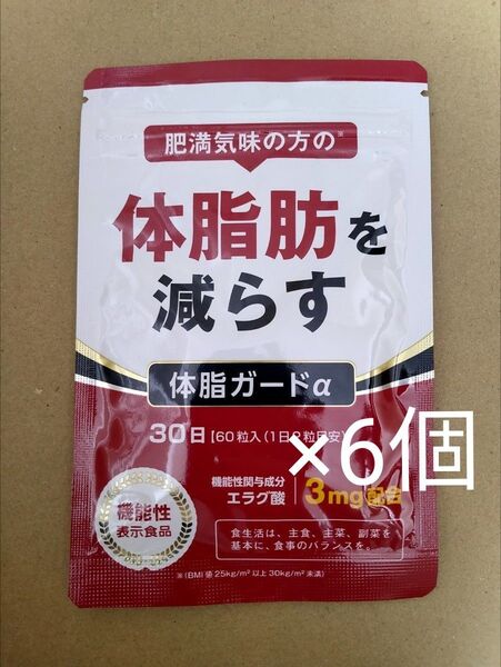 体脂ガードα 6袋 約6ヶ月分 DUEN サプリメント ダイエット エラグ酸 カルニチン BCAA 内臓脂肪 皮下脂肪