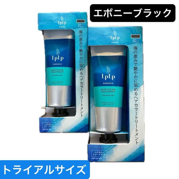 【新品2個】ルプルプ ヘアカラートリートメント 白髪ケア トライアルサイズ エボニーブラック 34g×2 日本製