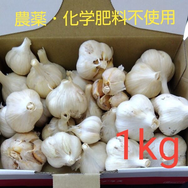 にんにく1kg 家庭菜園 無農薬・化学肥料不使用