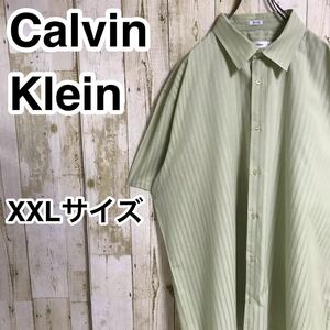 Calvin Klein カルバンクライン 半袖シャツ ストライプシャツ XXL ライトグリーン 縦ストライプ ロゴボタン ビッグサイズ オーバーサイズ