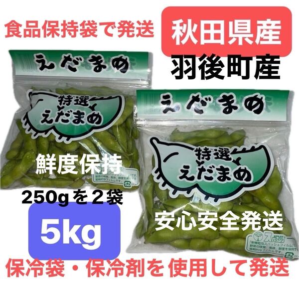秋田県産 枝豆 500g (250gを2袋)8月3日収穫 朝採れ 新鮮 食品保持袋 保冷袋 保冷剤 安心発送 農家直送 産地直送
