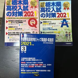 栃木県 高校入試 作新 過去問