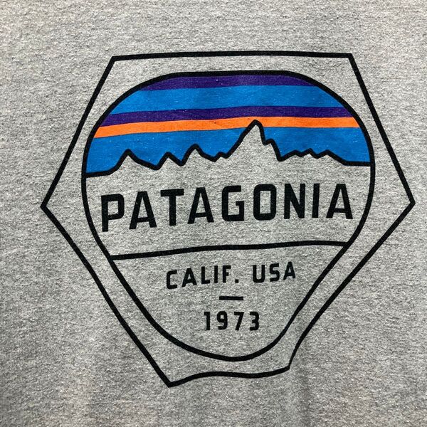 Patagonia パタゴニア ロングスリーブTシャツ ロンT アウトドア M