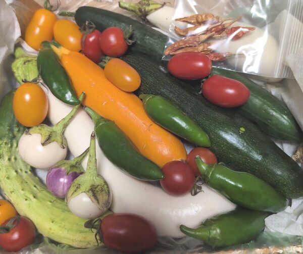 76九州高原野菜詰め合わせ 訳あり コンパクト便