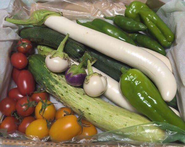 75九州高原野菜詰め合わせ 自然栽培 訳あり コンパクト便