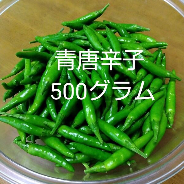 青唐辛子 500グラム