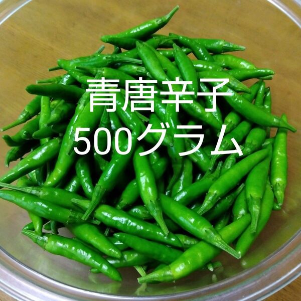 青唐辛子 500グラム