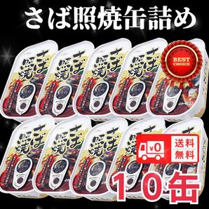 さば照焼缶詰め 100g サバ缶詰 鯖 非常食 送料無料 匿名配送