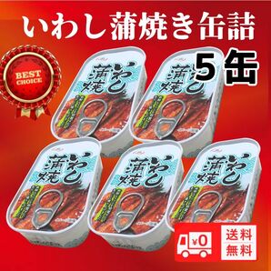 いわし蒲焼き缶詰め 100g イワシ缶詰 鰯 非常食 送料無料