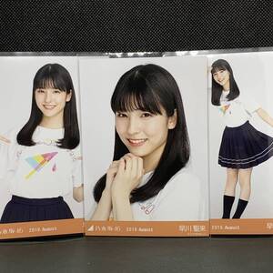 乃木坂46 早川聖来 生写真 全ツ2019共通Tシャツ 3種コンプ web限定 2019. August
