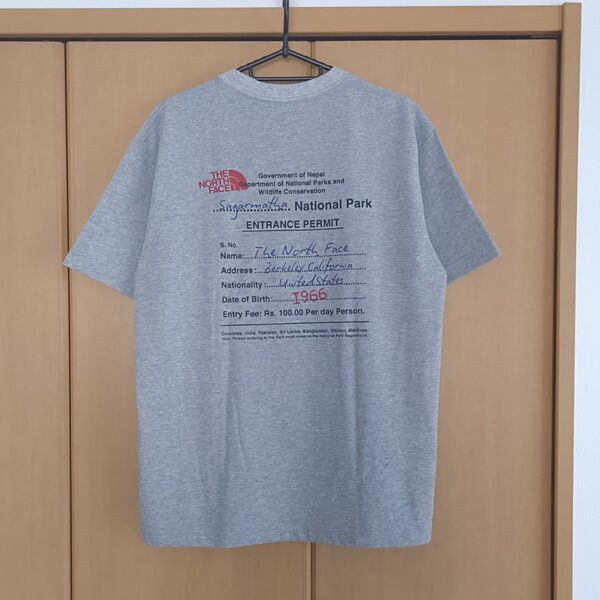 THE NORTH FACE 半袖Tシャツ グレーM