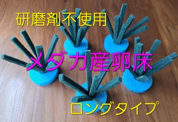 メダカの産卵床 5セット 【研磨剤不使用】ロングタイプ