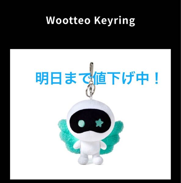新品 BTS ジン RUNSEOKJIN wootteo キーリングJIN
