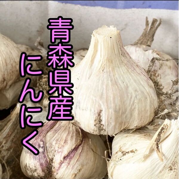 青森県産にんにく 白玉王 1キロ 小玉