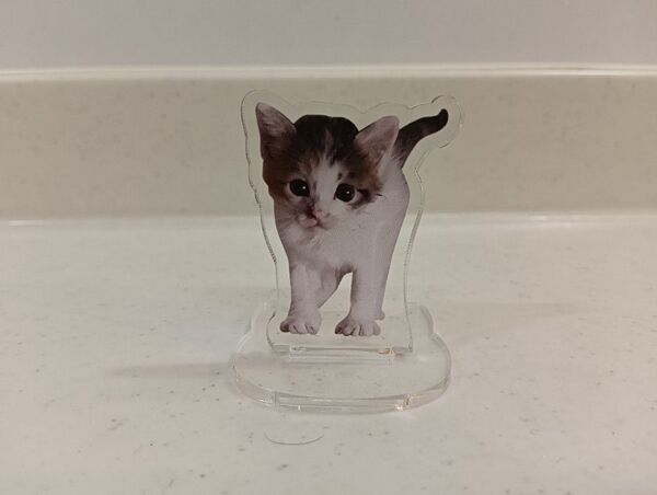 セルジオ悦子 アクリルスタンド 新品未開封品 猫