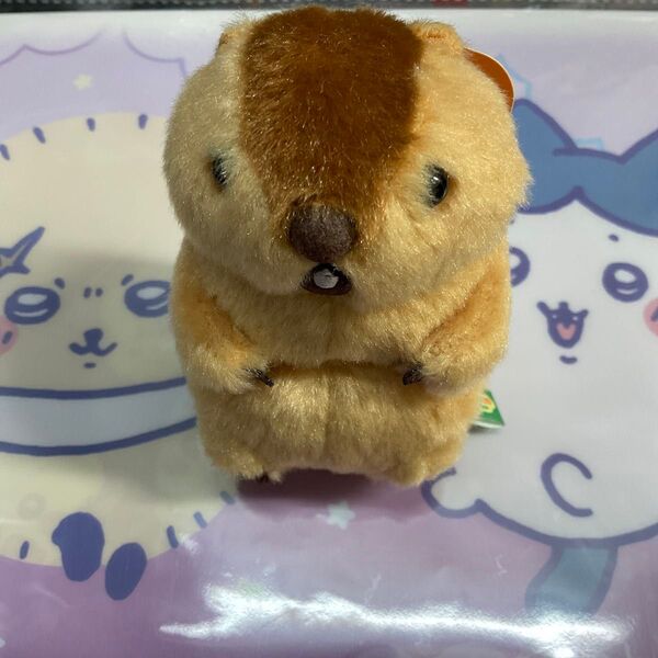 マーモットのもっとっとぬいぐるみ マスコット プライズ品 未使用品