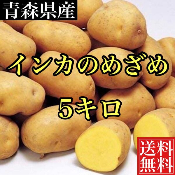 青森産 幻のじゃがいも インカのめざめ 約5キロ弱 送料無料
