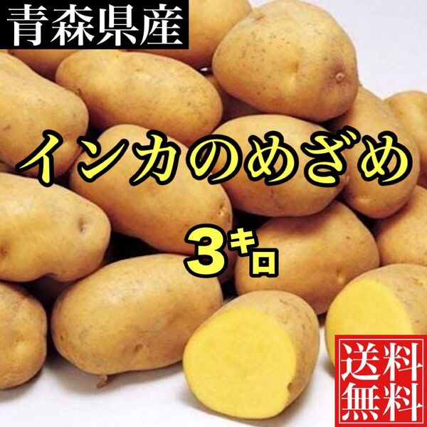 青森産 幻のじゃがいも インカのめざめ 正味3キロ 送料無料