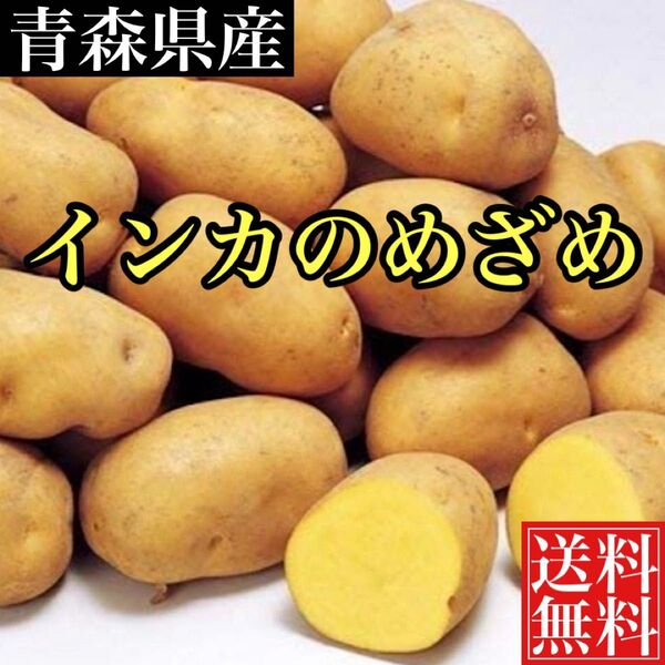 青森産 幻のじゃがいも インカのめざめ 宅急便コンパクト箱込み約1.5キロ