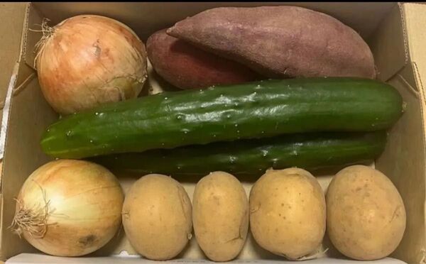 限定特売♪ふたりの野菜セット 1.4kg