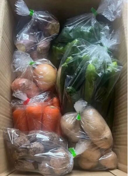 K 限定特売♪ 訳あり大盛りお買い得7種野菜セット