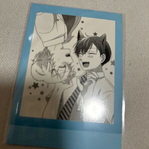 誰か夢だと言ってくれ みっしぇる ぱしゃこれ 星川小夜 真柴樹 朝日奈雨竜 真柴晴人 古嵐夢路 真柴現寿 カード フォト BL