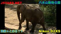 JSTARS.NET★八木山動物公園動物写真集！動物園のかわいい動物たち写真集！【NIKON D2XS】　とおるＴＶ写真集_画像2