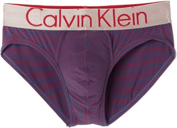「入手困難品」Calvin Kleinカルバンクライン ヒップ ブリーフ U2715 sizeL ビキニブリーフ