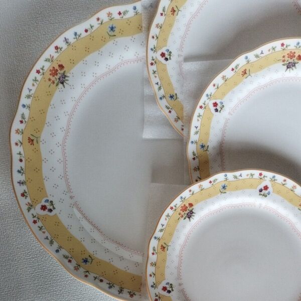 Noritake洋食器 皿 TRUELOVE φ27cm 1枚φ 17cm 3枚