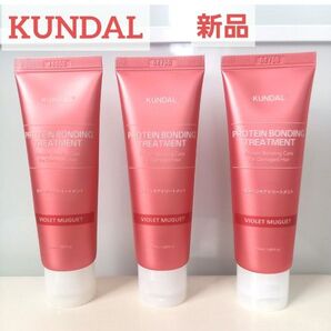 KUNDAL プロテイン トリートメント バイオレットミュゲ 3本セット クンダル 新品 ミニ