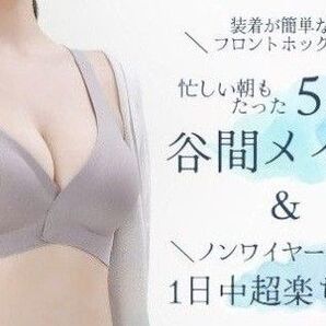 ストレスフリーブラ ベージュ