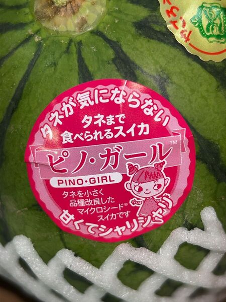 鹿児島県産 スイカ ピノガール 3玉 約4.5キロ
