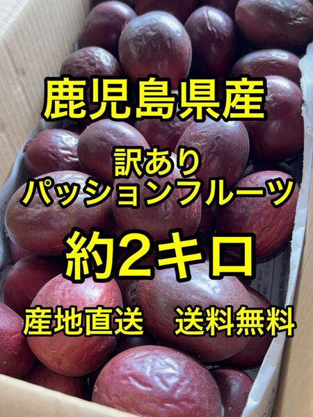 鹿児島県産 産地直送訳ありパッションフルーツ 約2キロ