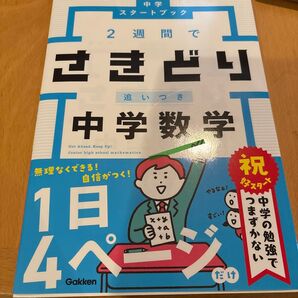 2週間でさきどり追いつき中学数学