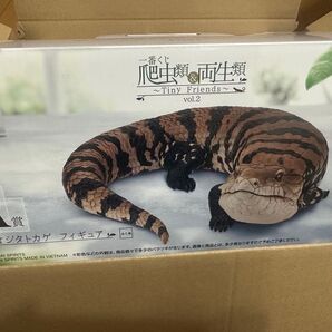 一番くじ 爬虫類&両生類 vol.2 A賞 アオジタトカゲ フィギュア