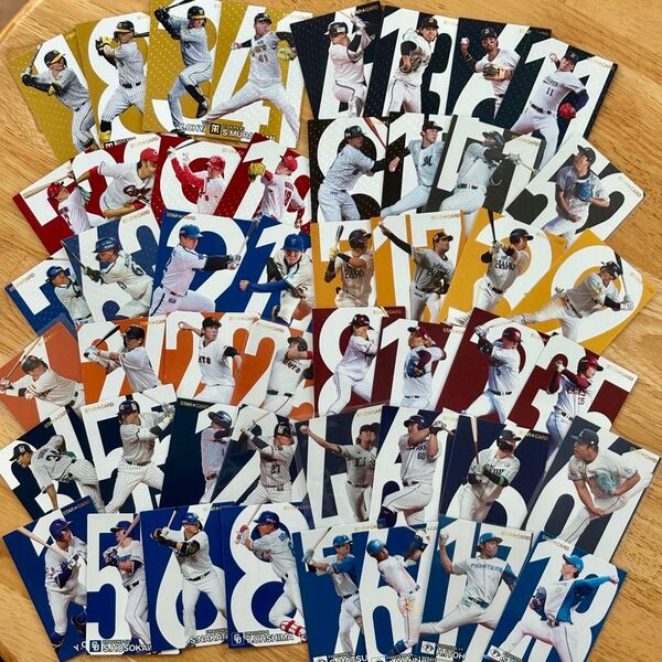 カルビー プロ野球チップス 2024年 スターカード 48種 コンプ