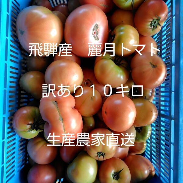 飛騨産 麗月トマト訳あり10キロ 生産農家直送