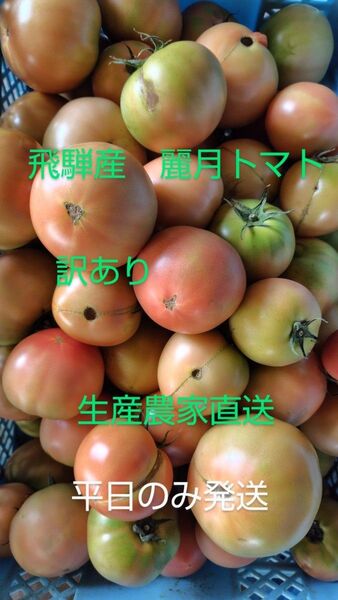 飛騨産 麗月トマト訳あり5キロ 生産農家直送