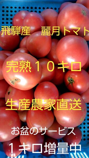 飛騨産 麗月トマト完熟10キロ 生産農家直送