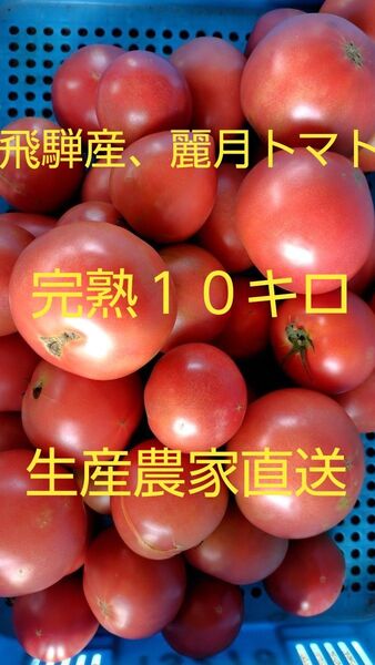 飛騨産 麗月トマト完熟10キロ 生産農家直送