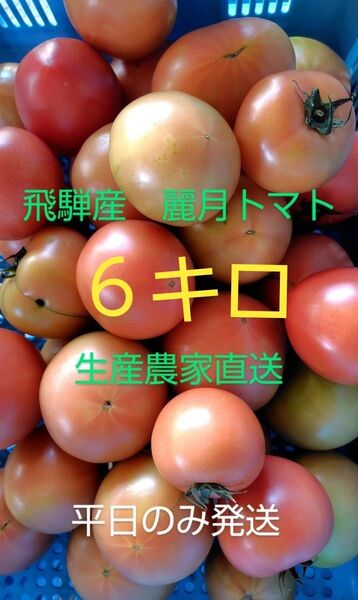 飛騨産 麗月トマト6キロ 生産農家直送
