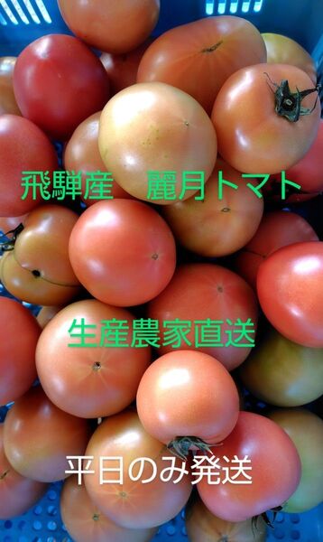 飛騨産 麗月トマト2キロ 生産農家直送