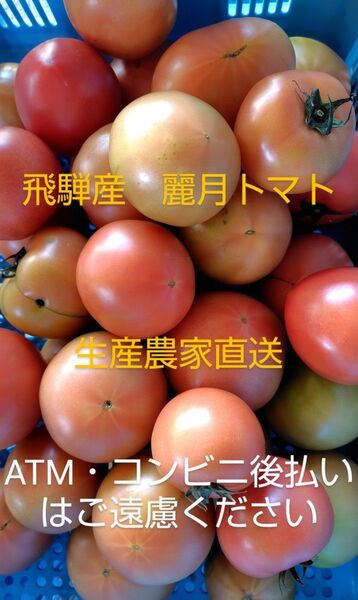 飛騨産 麗月トマト5キロ 生産農家直送