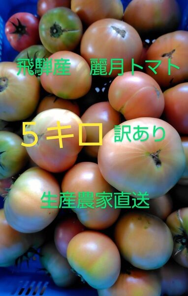 飛騨産 麗月トマト訳あり5キロ 生産農家直送