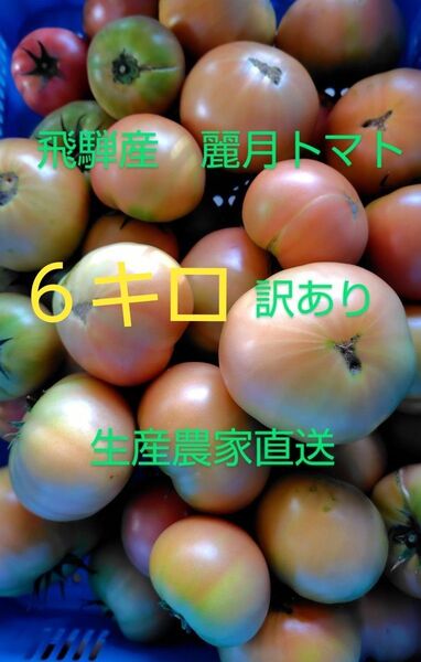 飛騨産 麗月トマト訳あり6キロ 生産農家直送