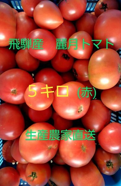 飛騨産 麗月トマト(赤)5キロ 生産農家直送