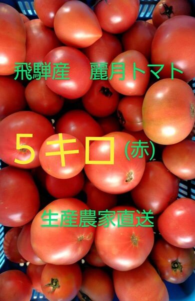 飛騨産 麗月トマト(赤)5キロ 生産農家直送