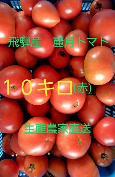 飛騨産 麗月トマト(赤)10キロ 生産農家直送