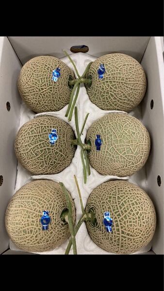 アールスメロン 4〜6玉 約8kg L〜 箱入り