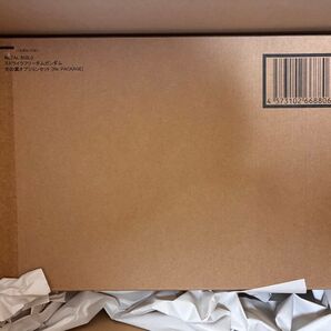 METAL BUILD ストライクフリーダムガンダム 光の翼オプションセット Re:PACKAGE